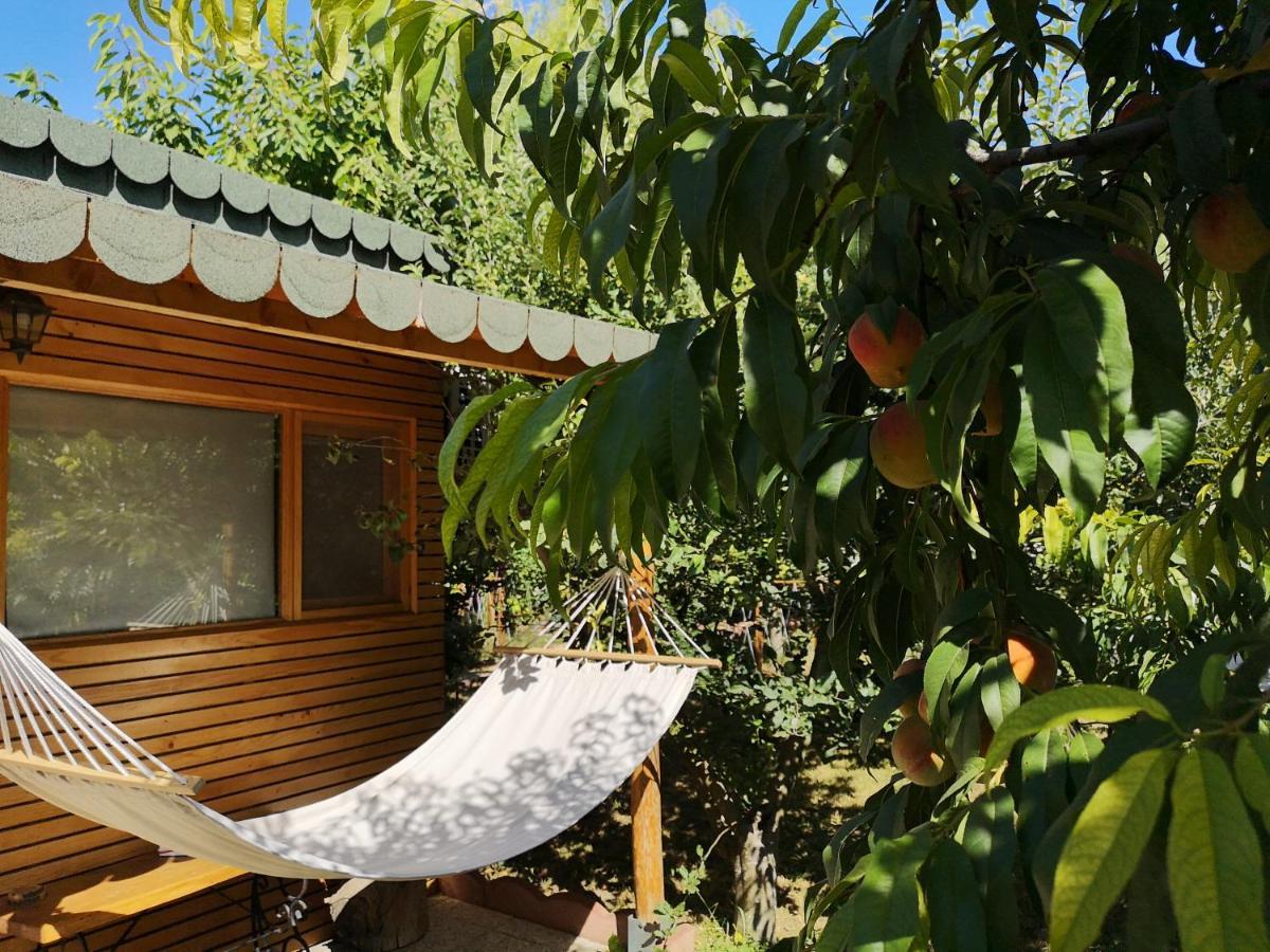 Relax Eaza - Casa Cu Hamac Villa Konstanca Kültér fotó
