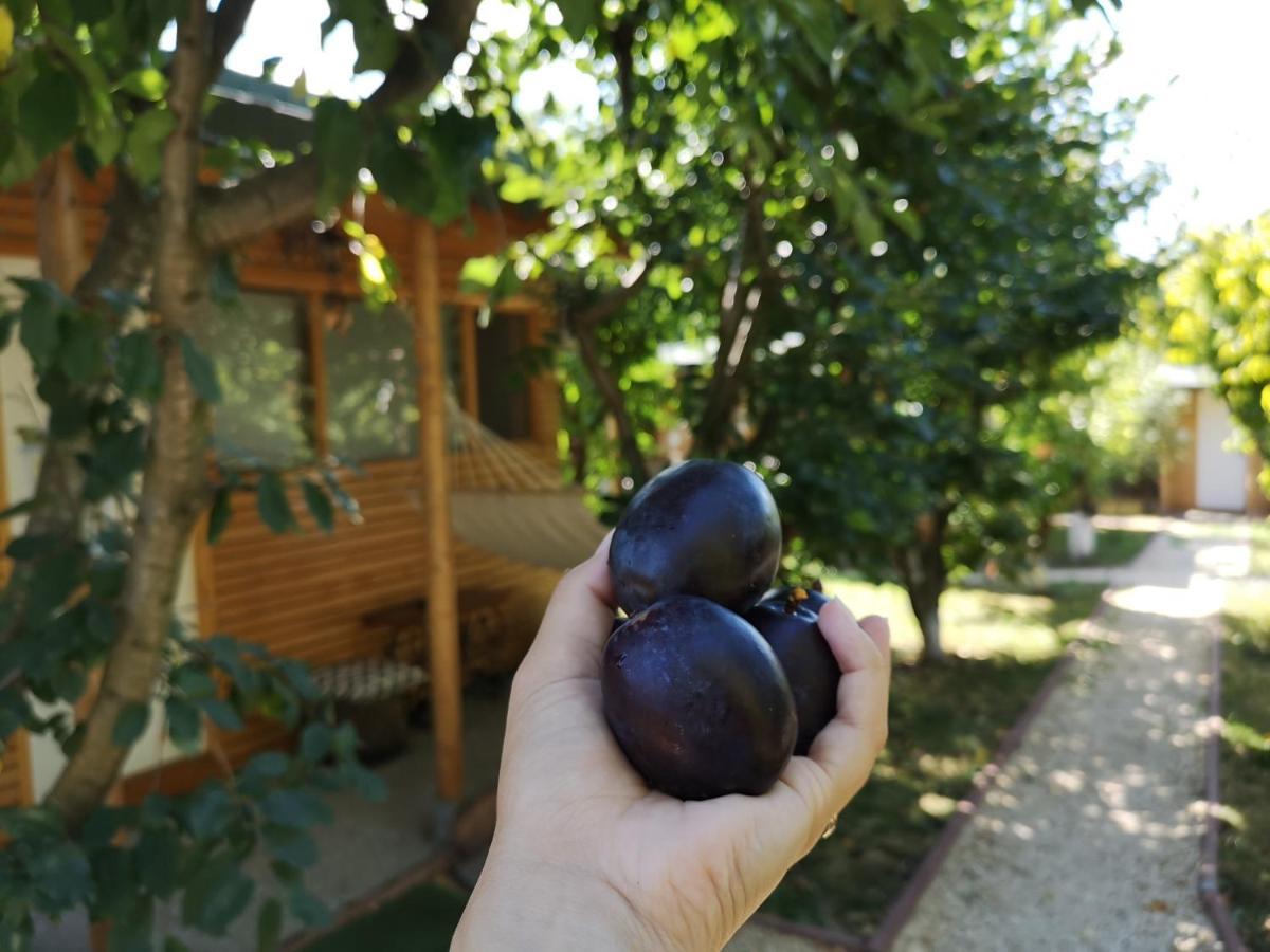 Relax Eaza - Casa Cu Hamac Villa Konstanca Kültér fotó