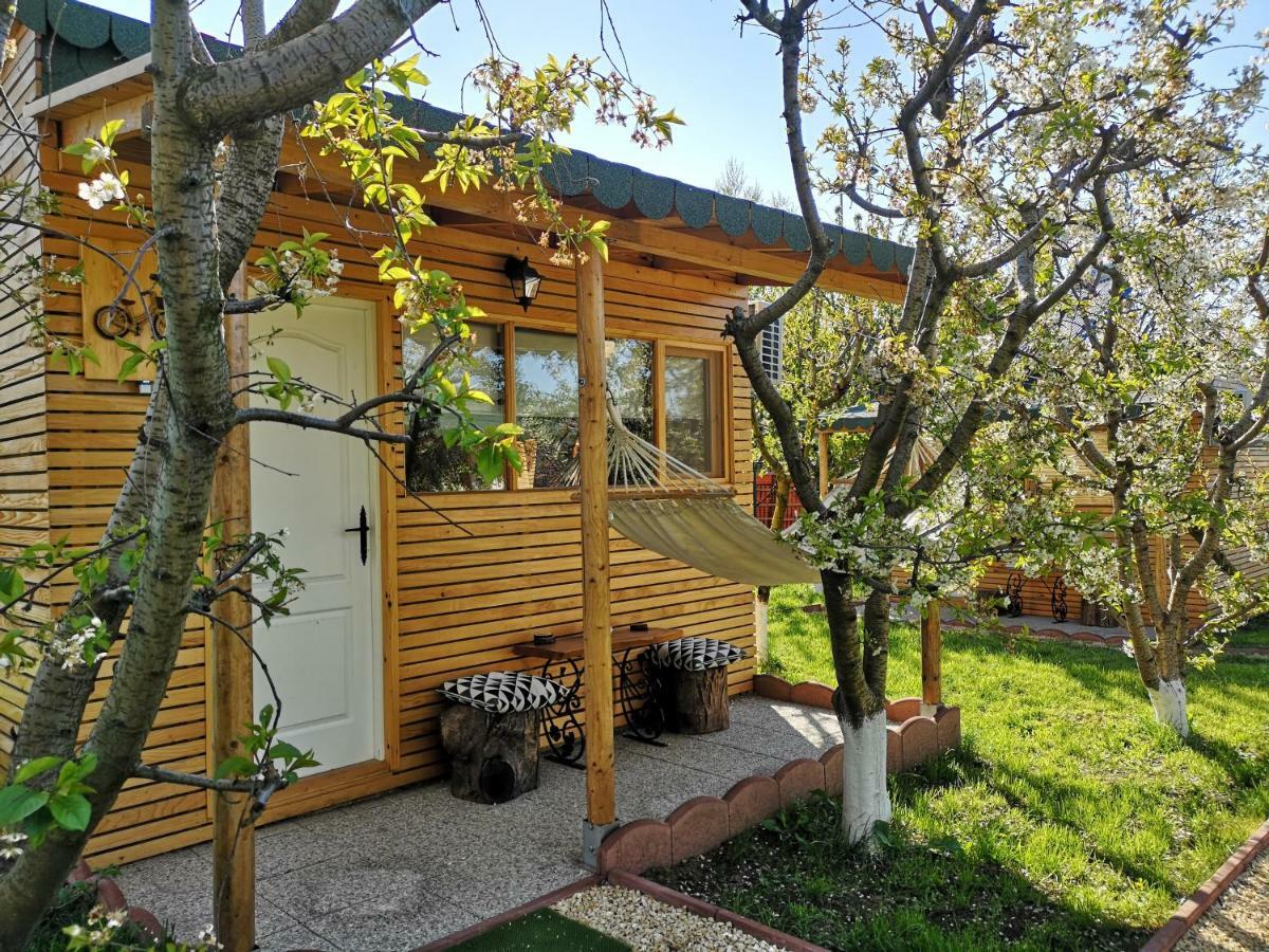 Relax Eaza - Casa Cu Hamac Villa Konstanca Kültér fotó
